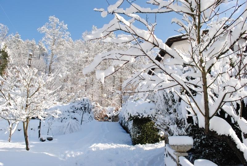 Il Ghiro B&B Riccò del Golfo di Spezia Zewnętrze zdjęcie