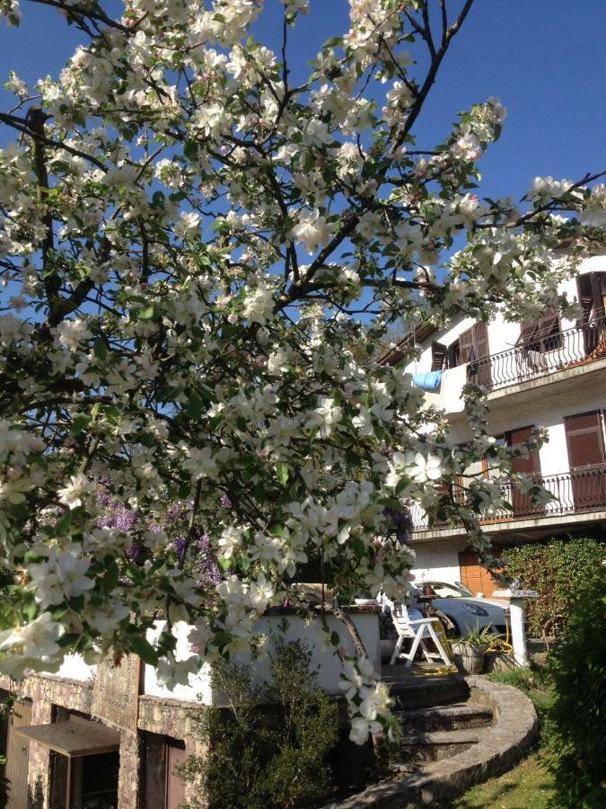 Il Ghiro B&B Riccò del Golfo di Spezia Zewnętrze zdjęcie